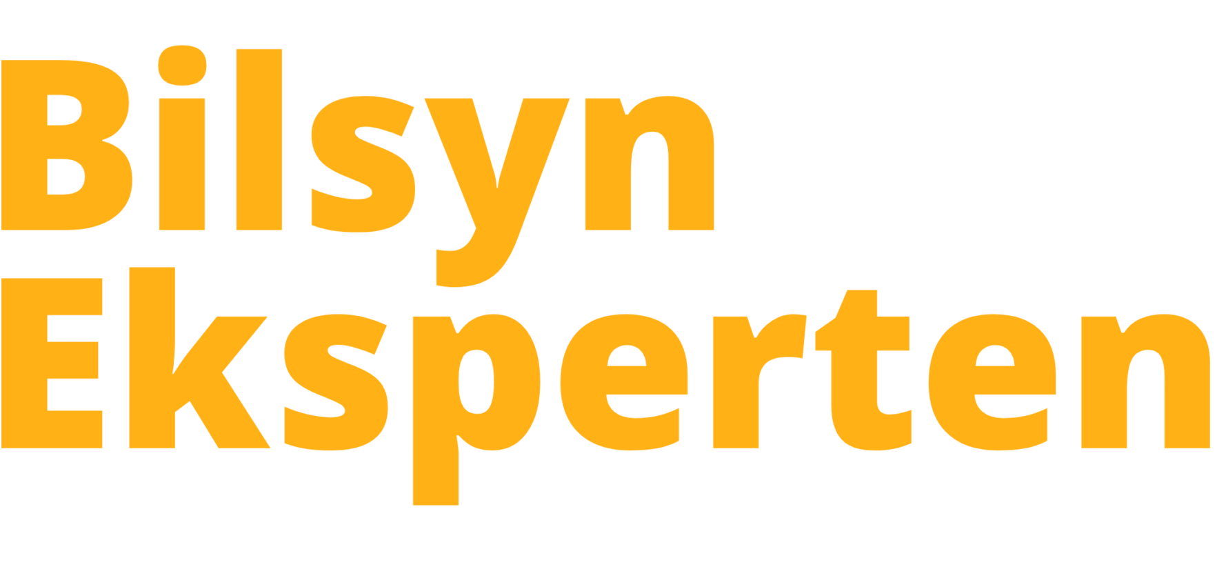 Bil Syneksperten
